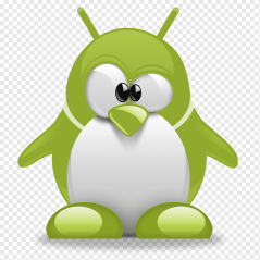 Article TEST