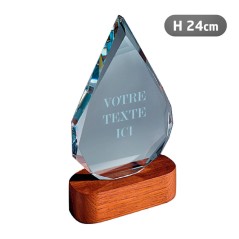 Trophée en verre 5008