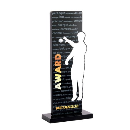 Trophée acrylique PN099