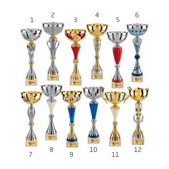 Lot de 12 coupes 123B