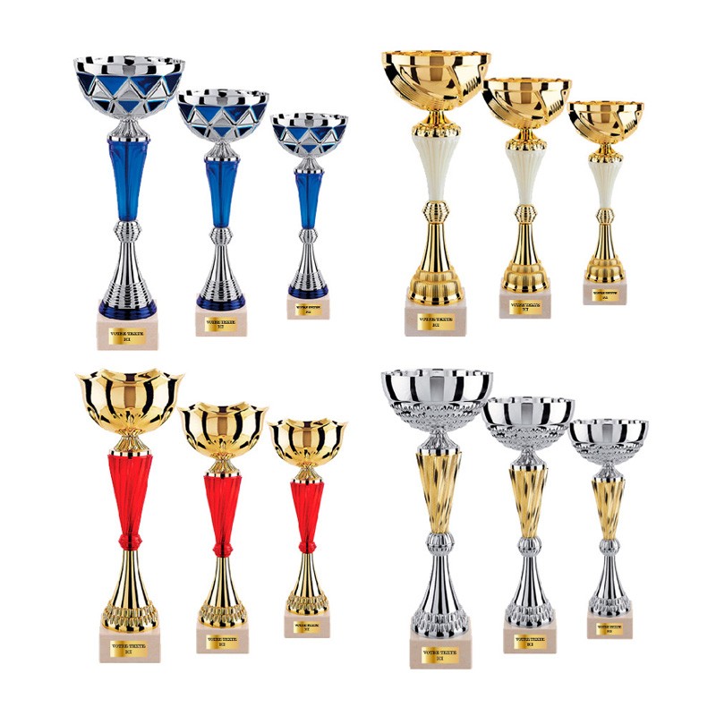 Lot de 12 coupes 123C
