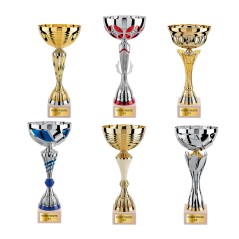 Lot de 6 coupes LT625