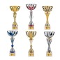 Lot de 6 coupes LT625