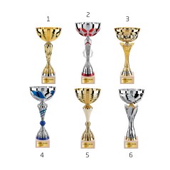 Lot de 6 coupes LT625