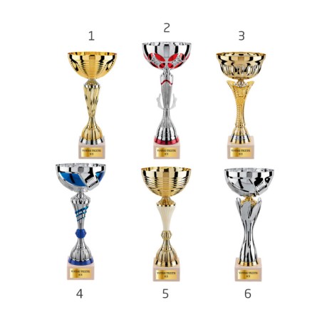 Lot de 6 coupes LT625