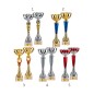 Lot de 10 coupes LT103
